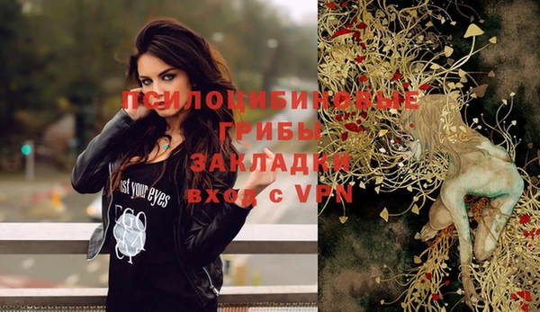 2c-b Лабытнанги
