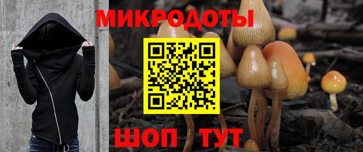 Галлюциногенные грибы прущие грибы Россошь